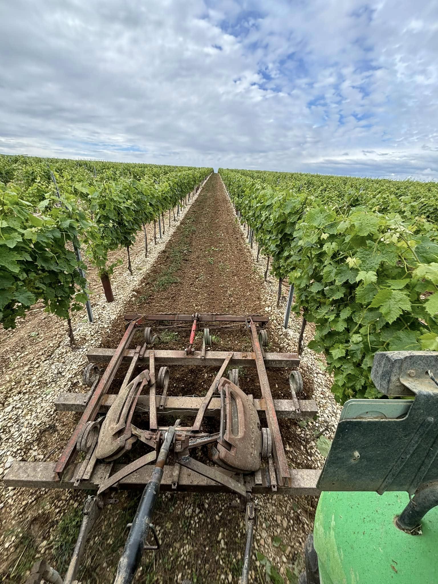 SARL Trigeau Henri Saint-Cybardeaux