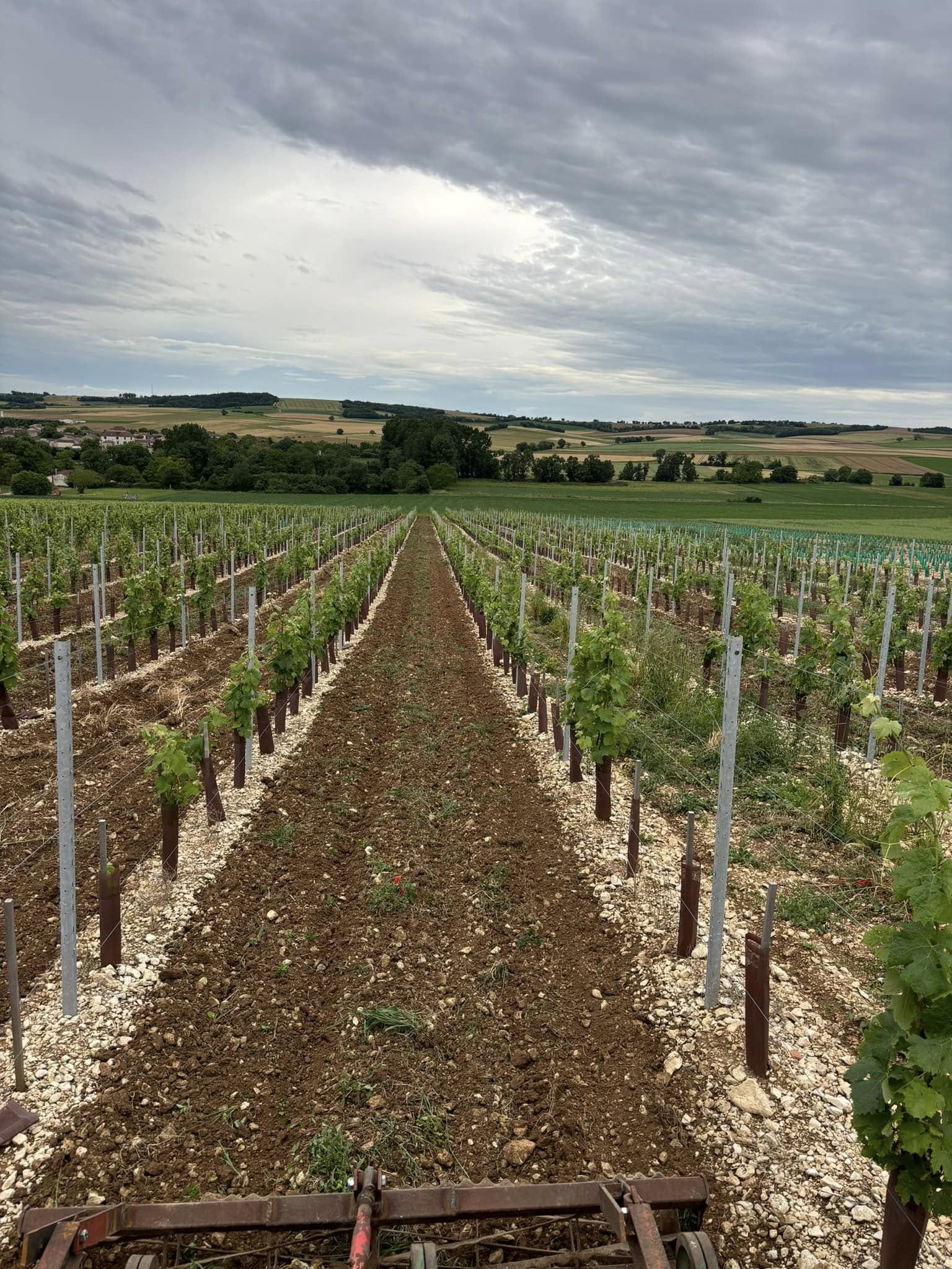 SARL Trigeau Henri Saint-Cybardeaux