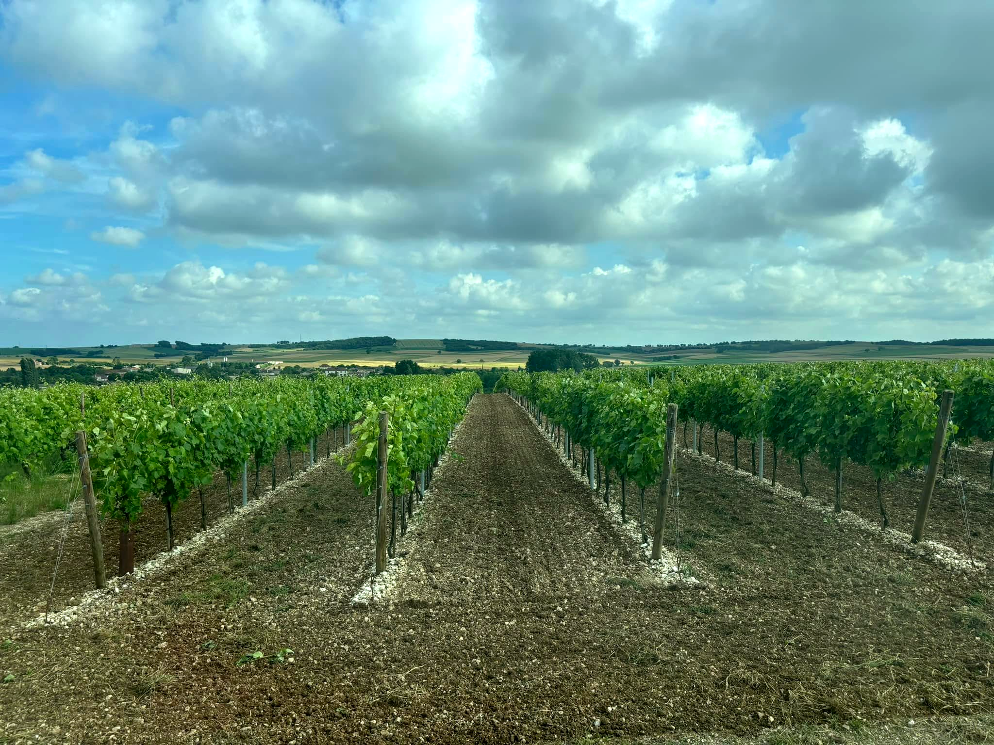 SARL Trigeau Henri Saint-Cybardeaux