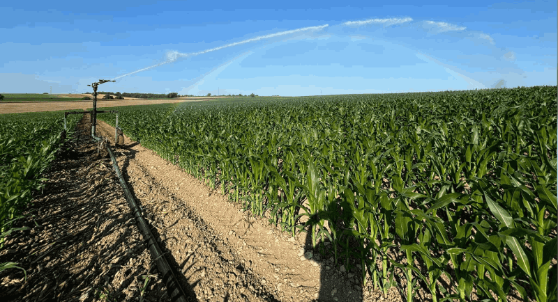 SARL Trigeau Henri Saint-Cybardeaux