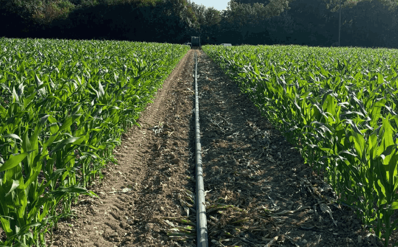 SARL Trigeau Henri Saint-Cybardeaux